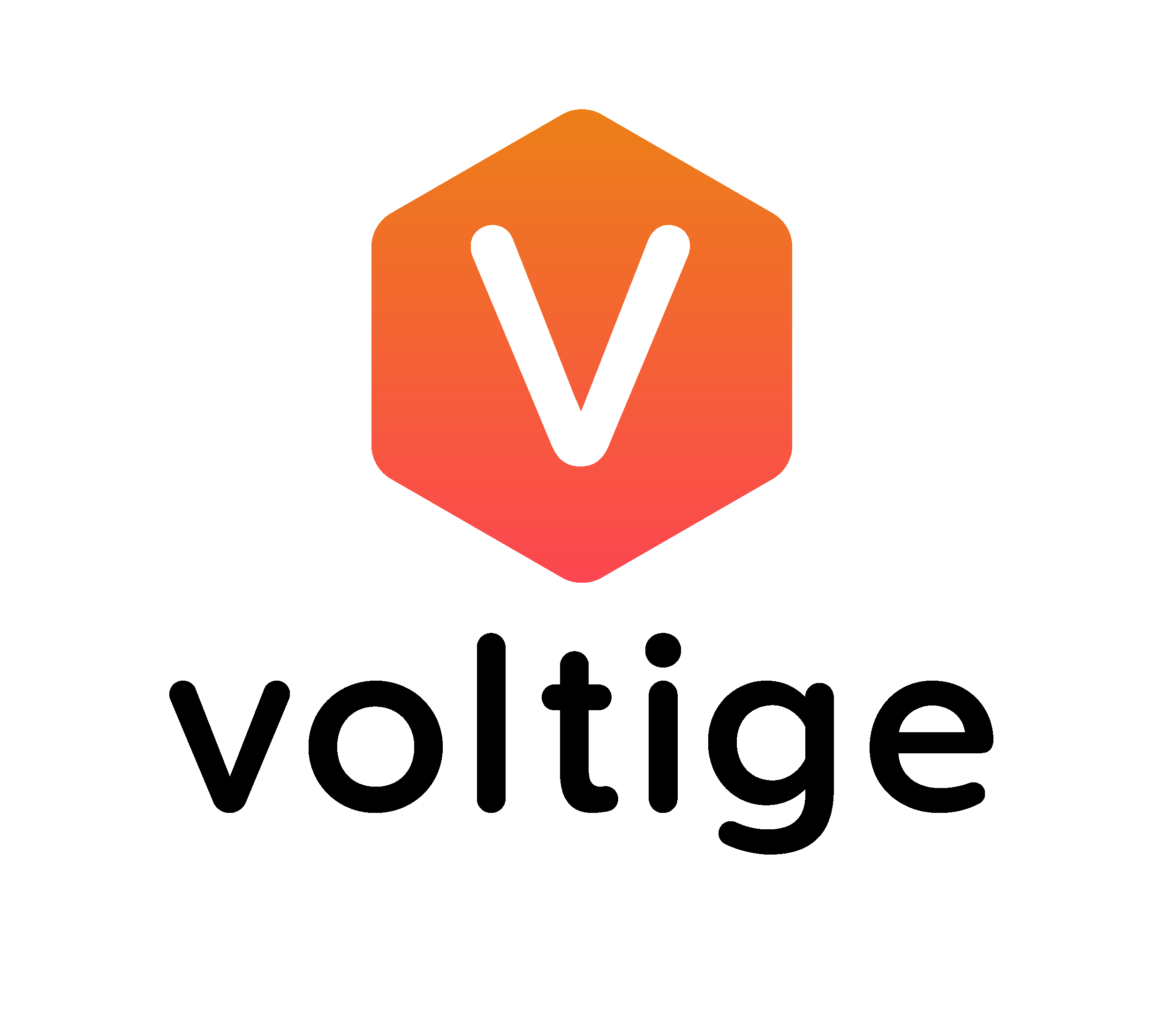 Voltige Software